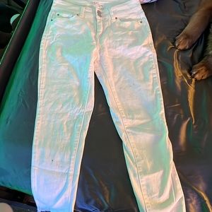 98% cotton, never worn